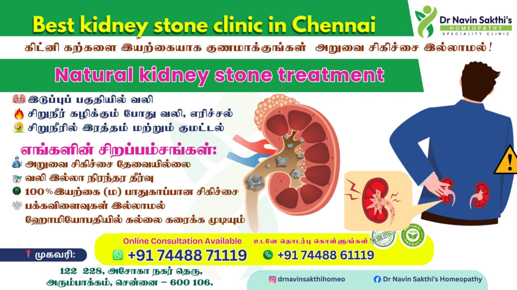 Best Homeopathic Doctors For Kidney Stone in Chennai